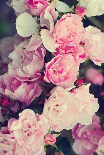 Joyce Florist